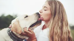 Psí tlama a lidské zdraví: co opravdu hrozí při psích polibcích