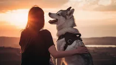 Jak psi skutečně rozumí naší řeči: Věda odhaluje překvapivé detaily